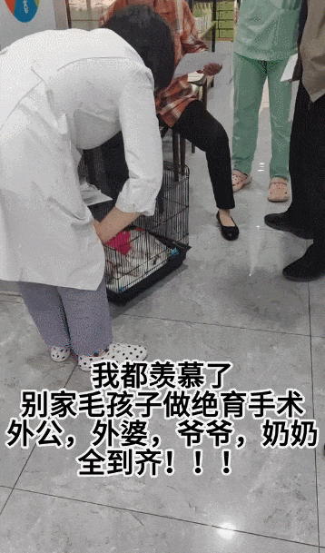 【宠物】男子网恋被无毛猫骗走5200元,网友不信,一看图沉默了...(组图) - 7