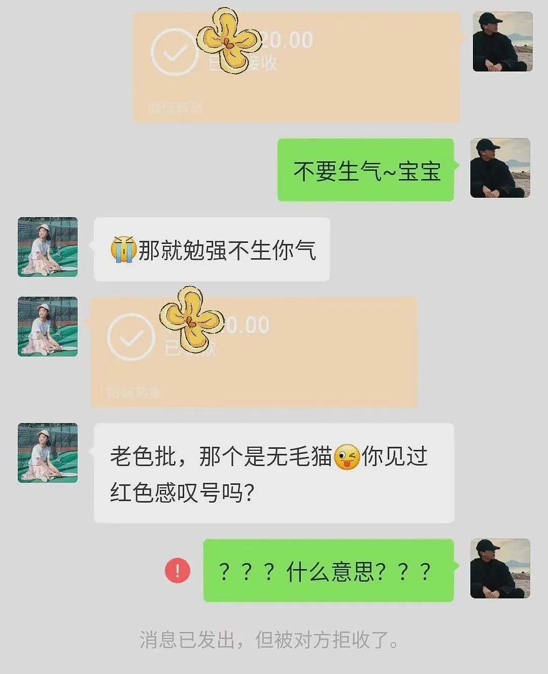 【宠物】男子网恋被无毛猫骗走5200元,网友不信,一看图沉默了...(组图) - 15