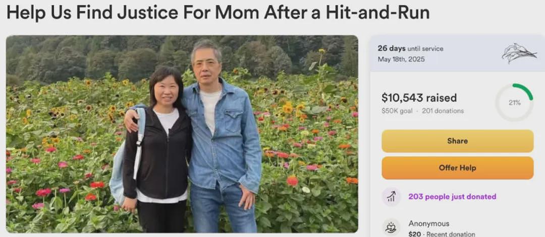 华女母亲被撞身亡！肇事者闯红灯加速逃逸！女儿泣求网友帮忙找凶手（组图） - 16