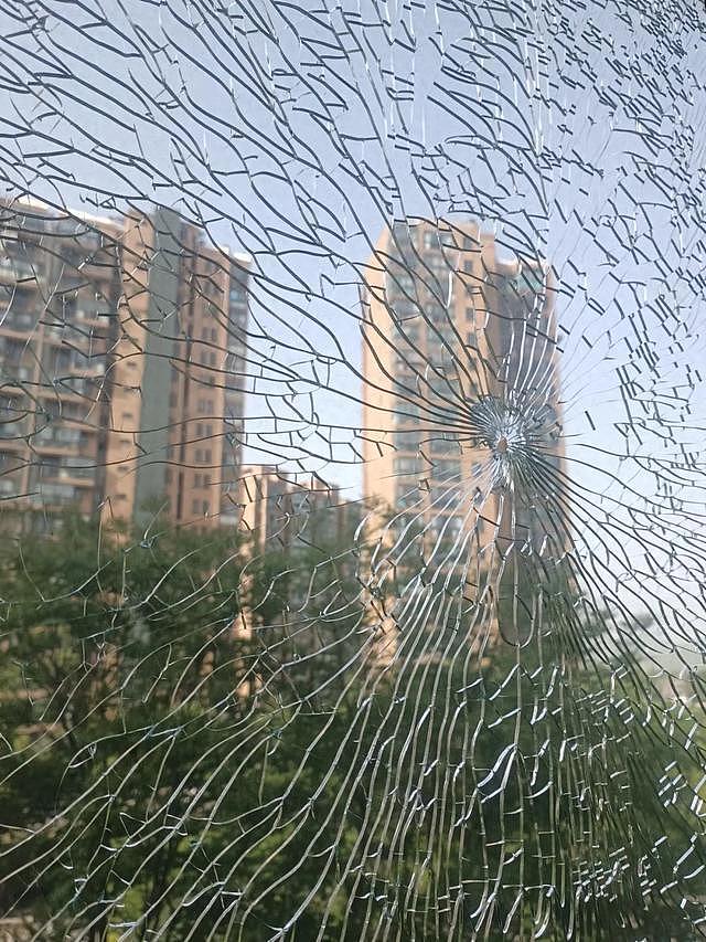 业主自己在小区摆200平米“石头阵”，物业曾报警6次无果（组图） - 4