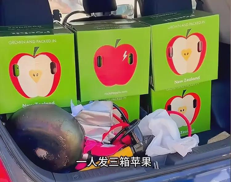 四川女孩新西兰苹果厂打工:四点起床,时薪109人民币,月入三万(组图) - 15
