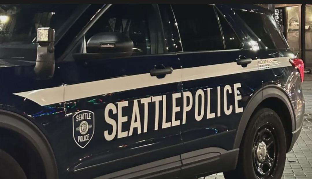 华女母亲被撞身亡！肇事者闯红灯加速逃逸！女儿泣求网友帮忙找凶手（组图） - 10