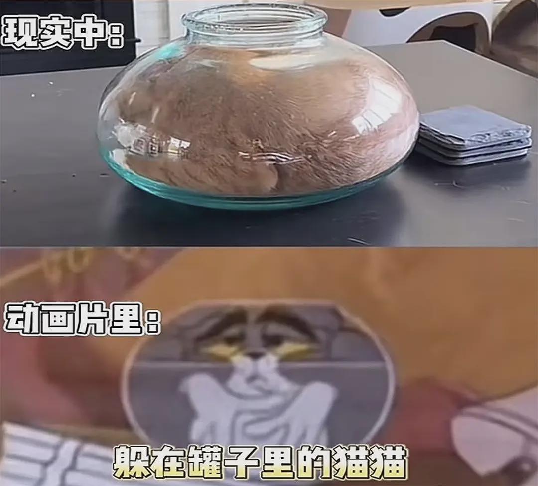 加速“身体报废”的小动作,你可能每天重复几千次(组图) - 10