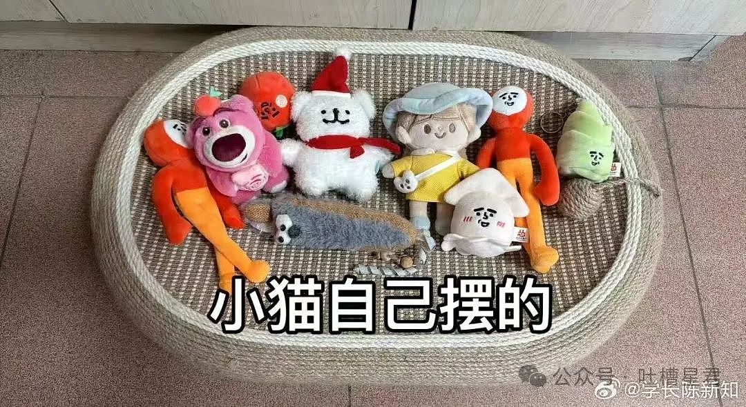 【爆笑】相亲对象给我转20块5毛7什么意思?网友:上班摸鱼的报应来了...(组图) - 58