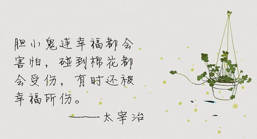 炒作才女人设，她塌到神仙难救（组图） - 25
