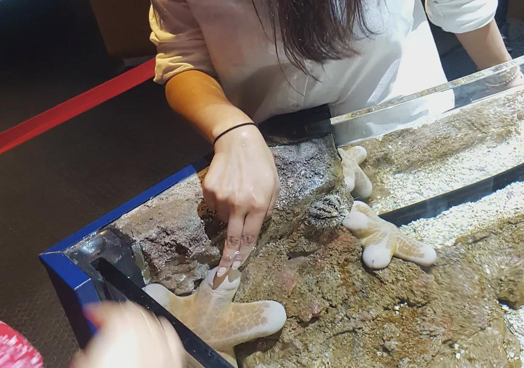 长得最18禁的海洋动物，谁看见它都会脸红（组图） - 10