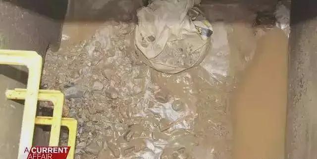 华人女子被澳洲丈夫用60升浓盐酸融掉，后者在镜头前为何露出诡异笑容？（组图） - 10