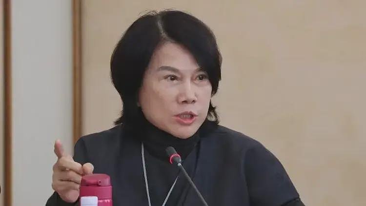 董明珠“间谍论”持续升级！官媒点名狠批，胡锡进提醒违反劳动法（组图） - 7
