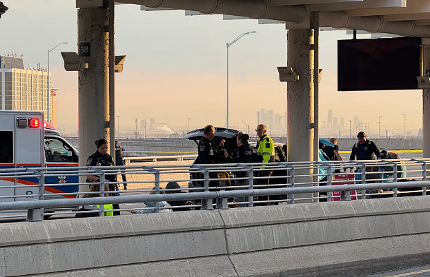 加拿大机场突发爆枪案，航站楼大乱！10声枪响吓疯上万旅客，有人丧命！大批航班延误（视频/组图） - 10