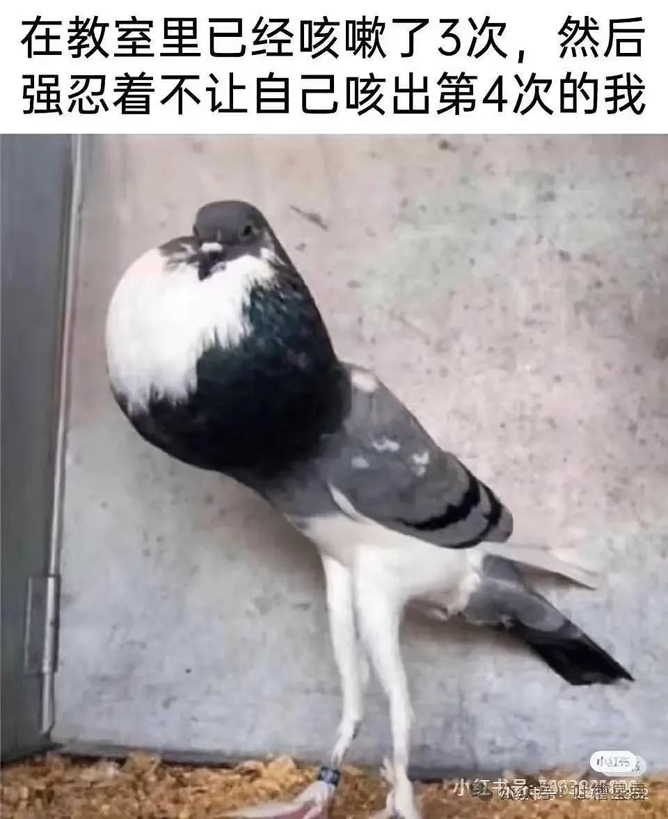 【爆笑】相亲对象给我转20块5毛7什么意思?网友:上班摸鱼的报应来了...(组图) - 40