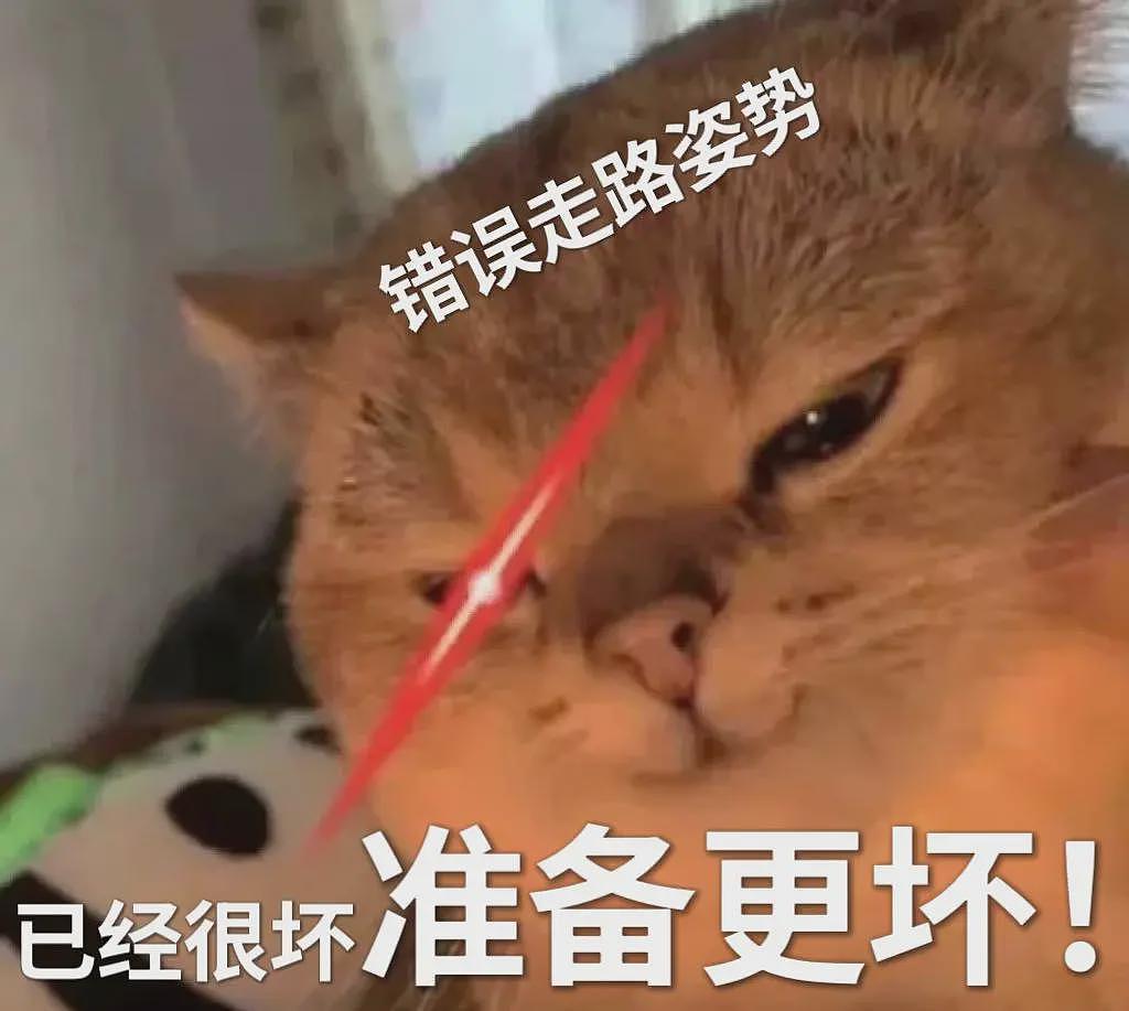 加速“身体报废”的小动作,你可能每天重复几千次(组图) - 7