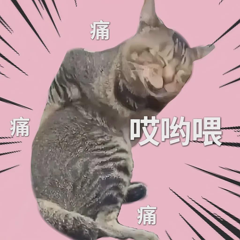 加速“身体报废”的小动作,你可能每天重复几千次(组图) - 19