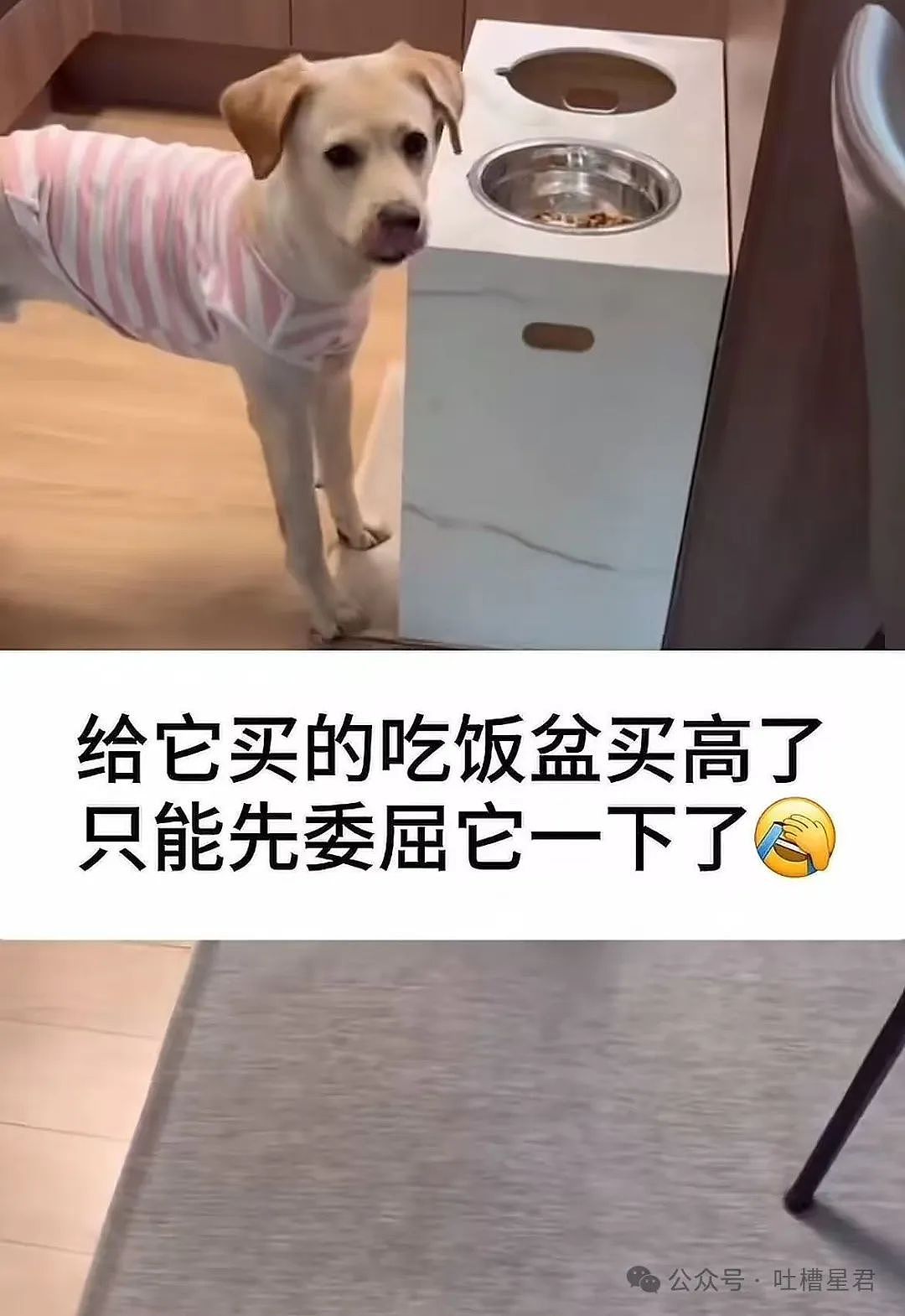 【爆笑】相亲对象给我转20块5毛7什么意思?网友:上班摸鱼的报应来了...(组图) - 68