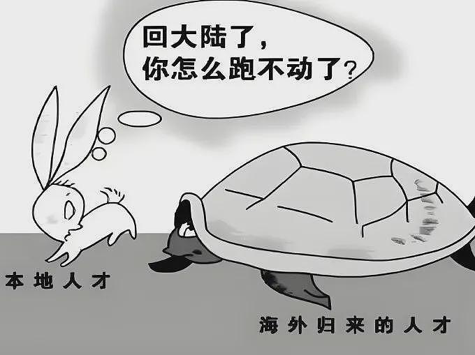 董明珠有权不用海归，但不能污名化留学生群体（组图） - 3