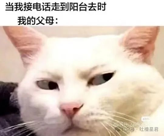 【爆笑】相亲对象给我转20块5毛7什么意思?网友:上班摸鱼的报应来了...(组图) - 41