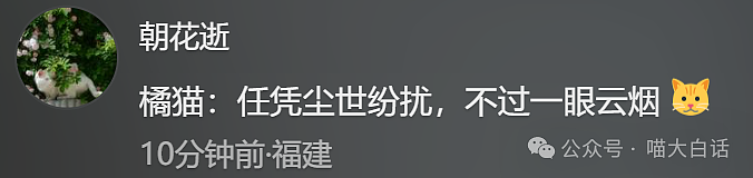 【爆笑】“分手后前男友染上霸总综合征?”哈哈哈哈哈适合去演短剧(组图) - 52
