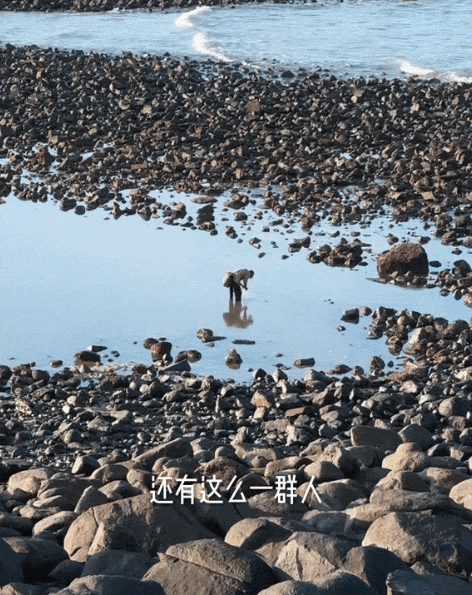 芒果又出王炸新综艺，网友边哭边追更：综艺版“苦尽柑来”.....（组图） - 31