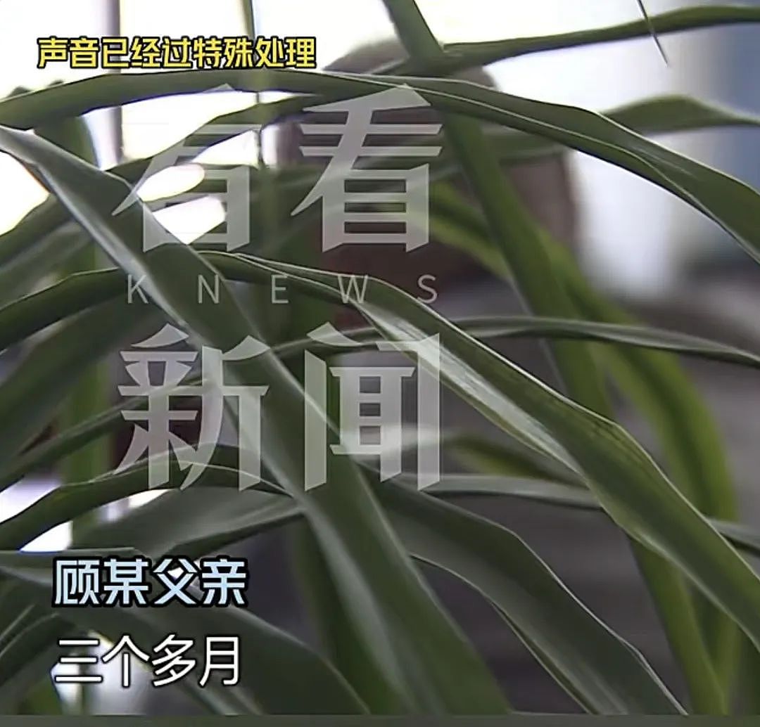 上海一“拆二代“败光5套房近4000万,挥霍完800万彩票巨奖后,竟…(组图) - 8