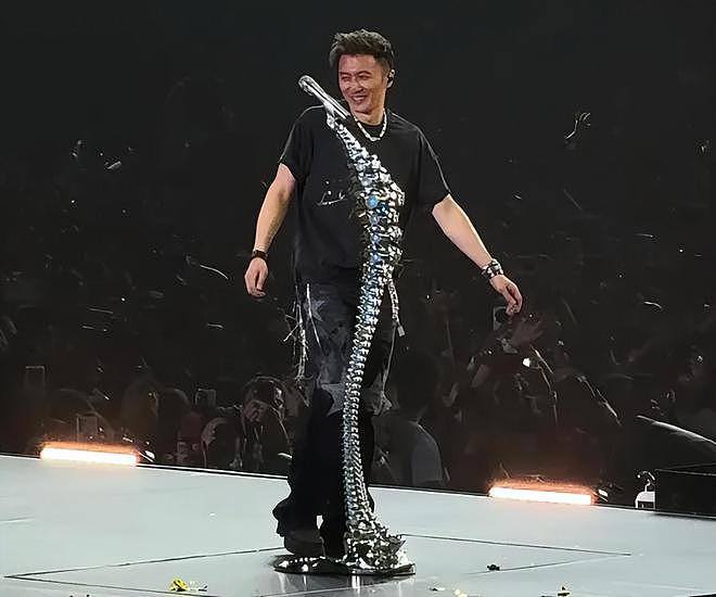 冲上热搜！谢霆锋演唱会半个娱乐圈来了，对着王菲唱定情曲，女方激动捧场（视频/组图） - 13