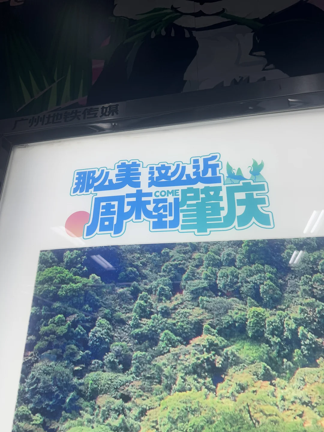 为什么全球中产，周末都要去河北？（组图） - 18