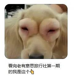 芒果又出王炸新综艺，网友边哭边追更：综艺版“苦尽柑来”.....（组图） - 5