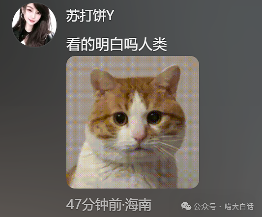【爆笑】“分手后前男友染上霸总综合征?”哈哈哈哈哈适合去演短剧(组图) - 53