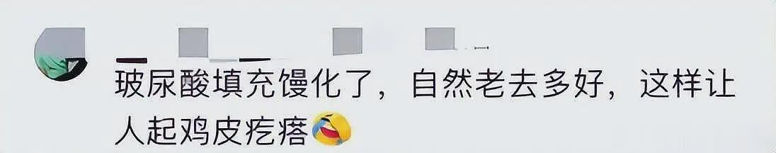 苏有朋变成了“苏阿姨”，与早年清爽形象反差极大，网友辣评：辣眼睛（组图） - 16