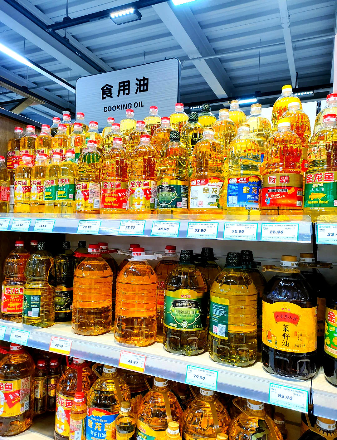 6000亿灰飞烟灭！伪装成国货的金龙鱼，背后的“资本局”（组图） - 10