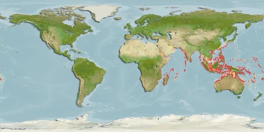 长得最18禁的海洋动物，每个人看见它都会脸红（组图） - 11