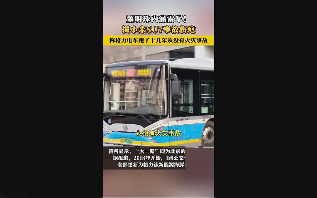 深扒董明珠口中的格力电车,不起火的真相水很深(组图) - 2