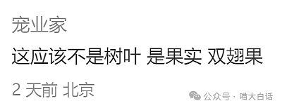 【爆笑】“备婚时男票说把50g金子压缩成20g？”哈哈哈哈哈都怪这暴涨的金价！（组图） - 114