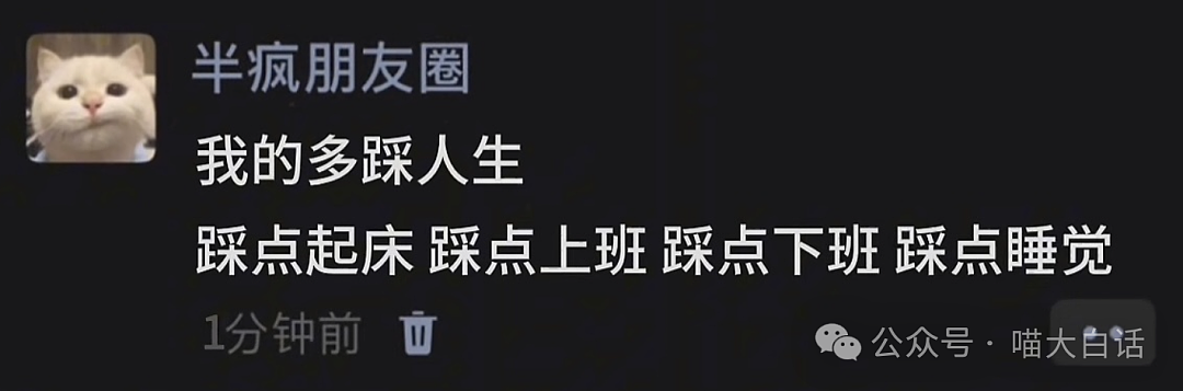 【爆笑】“分手后前男友染上霸总综合征?”哈哈哈哈哈适合去演短剧(组图) - 88