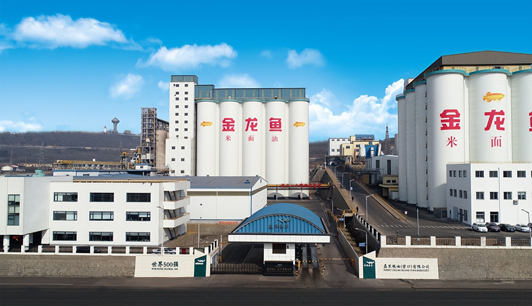 6000亿灰飞烟灭！伪装成国货的金龙鱼，背后的“资本局”（组图） - 1