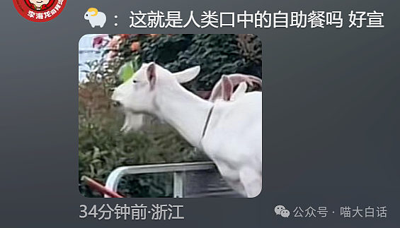 【爆笑】“备婚时男票说把50g金子压缩成20g？”哈哈哈哈哈都怪这暴涨的金价！（组图） - 77