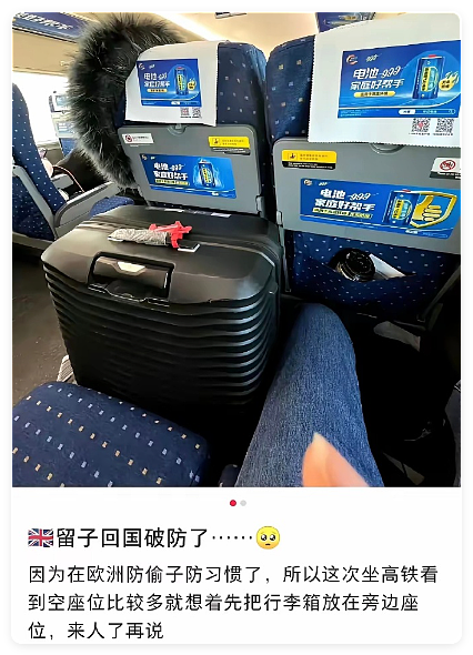 中国留学生,给全欧洲小偷编号(组图) - 31