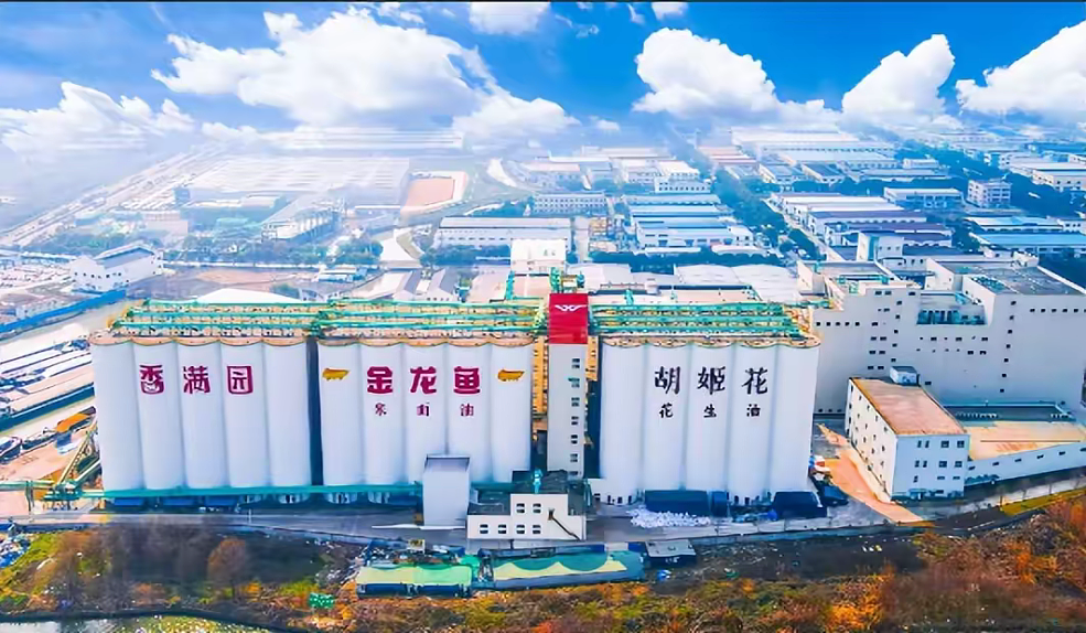 6000亿灰飞烟灭！伪装成国货的金龙鱼，背后的“资本局”（组图） - 9