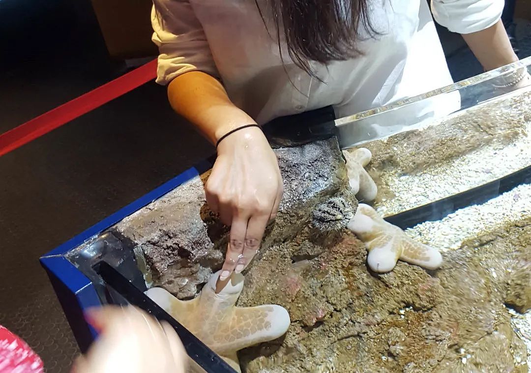 长得最18禁的海洋动物，每个人看见它都会脸红（组图） - 10