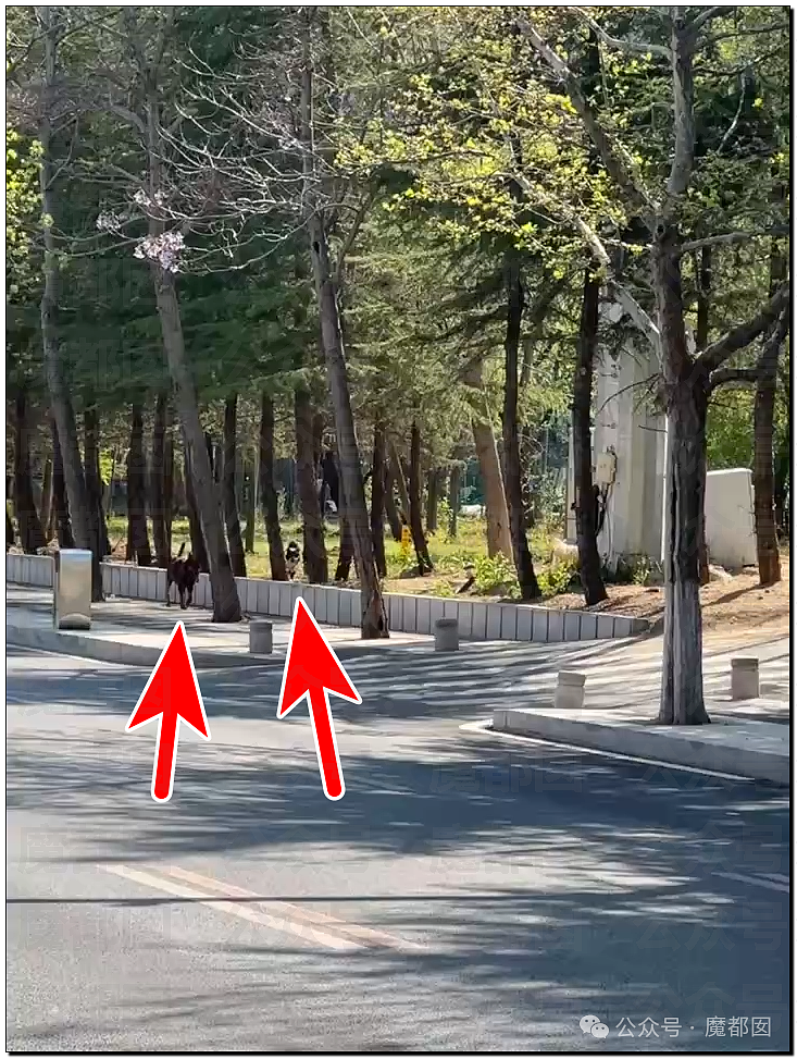 超火爆网红日式“搏斗”spa被封!现场抓获多名男女选手(组图) - 35