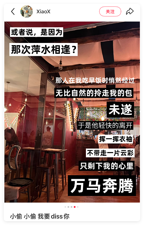 中国留学生,给全欧洲小偷编号(组图) - 30