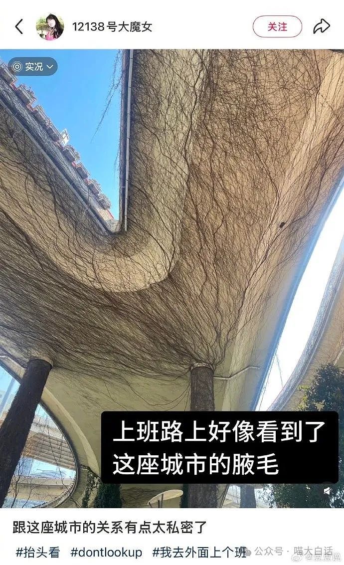 【爆笑】“分手后前男友染上霸总综合征?”哈哈哈哈哈适合去演短剧(组图) - 74