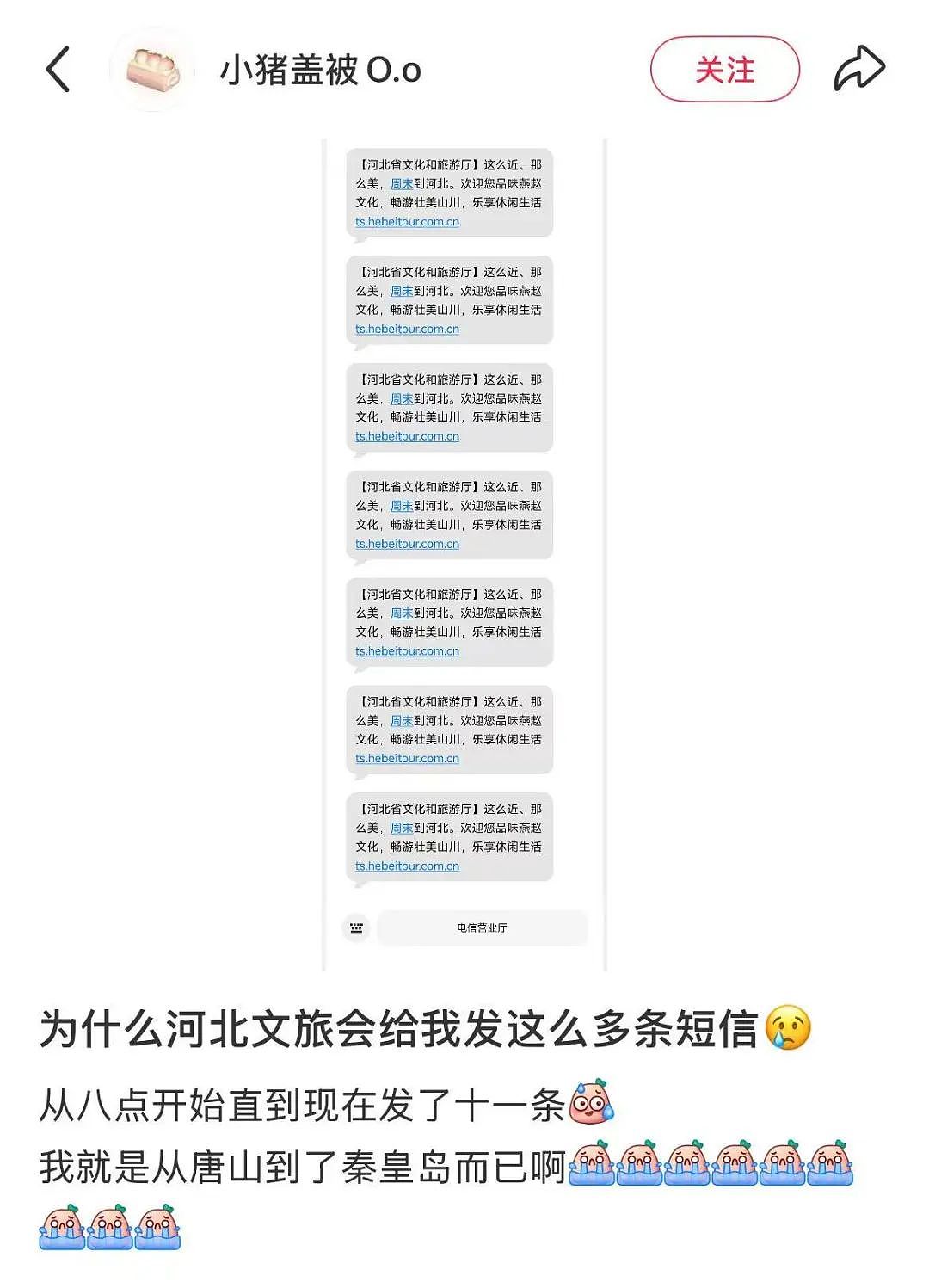 为什么全球中产，周末都要去河北？（组图） - 3