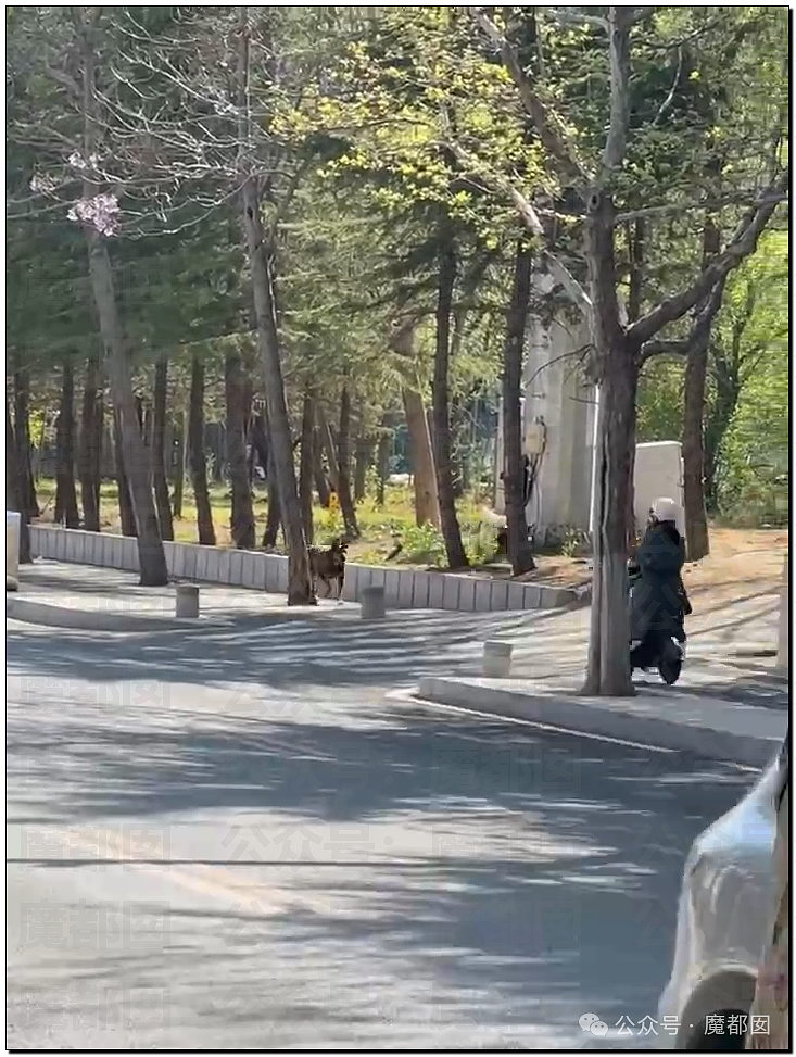 超火爆网红日式“搏斗”spa被封!现场抓获多名男女选手(组图) - 36