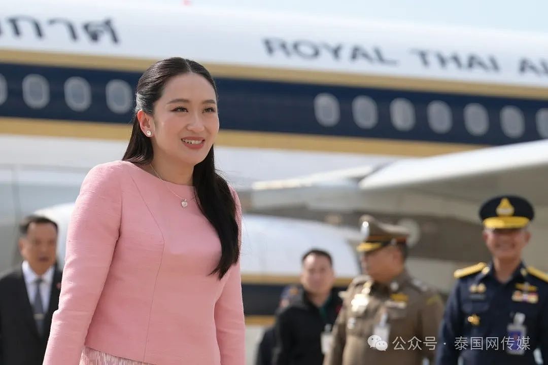 泰国总理住院后,他立即发起“撤职总理,解散内阁”(组图) - 14