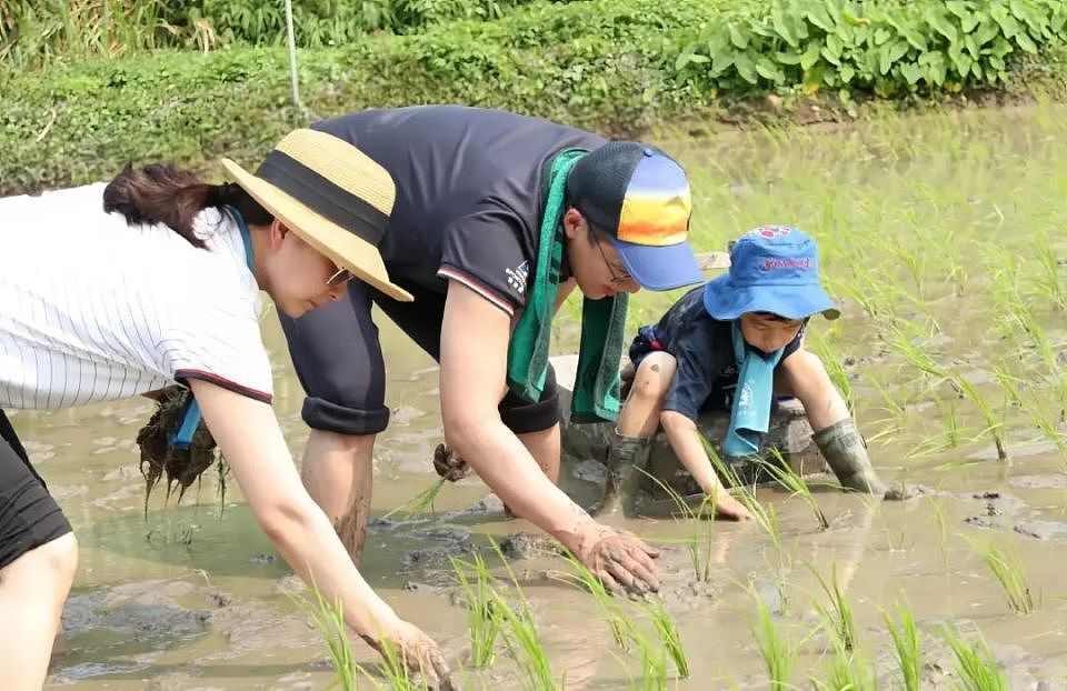 被说长得很像太爷爷的霍中曦，11岁已被“内定”为霍家接班人（组图） - 11