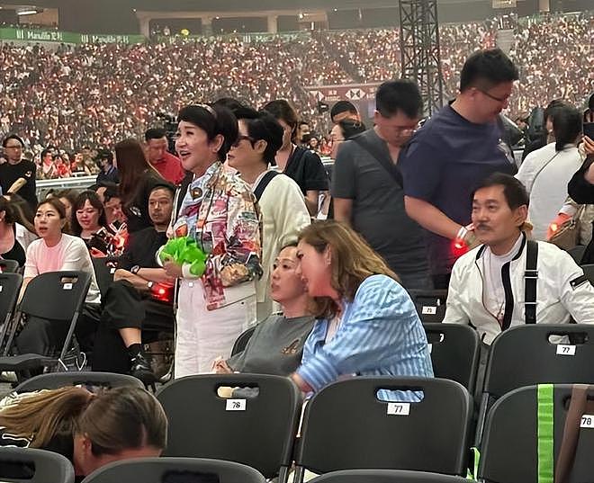 谢霆锋儿子现身演唱会,Lucas主动打招呼,兄弟俩的笑容很温馨(组图) - 12