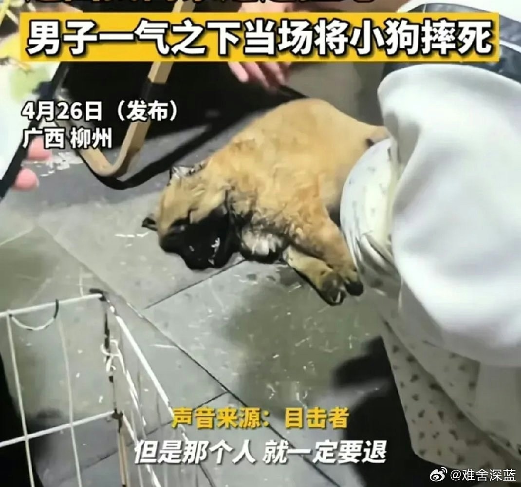 买狗要求退款遭拒,广西男竟当众残忍挞死狗BB,路人阻止未果落泪(组图) - 4