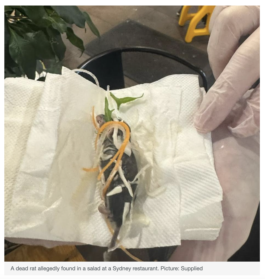 全网怒喷：悉尼孕妇在日料店，吃到一半发现死老鼠！大家一定要避雷...（组图） - 2
