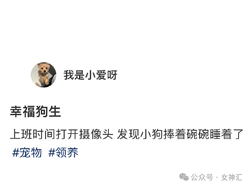 【爆笑】不小心把前男友给我拍的照片发网上后...？网友笑疯：P图高手都无法拯救！（组图） - 25