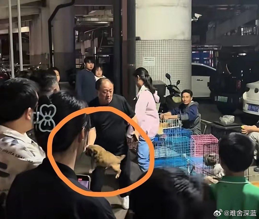 买狗要求退款遭拒,广西男竟当众残忍挞死狗BB,路人阻止未果落泪(组图) - 2