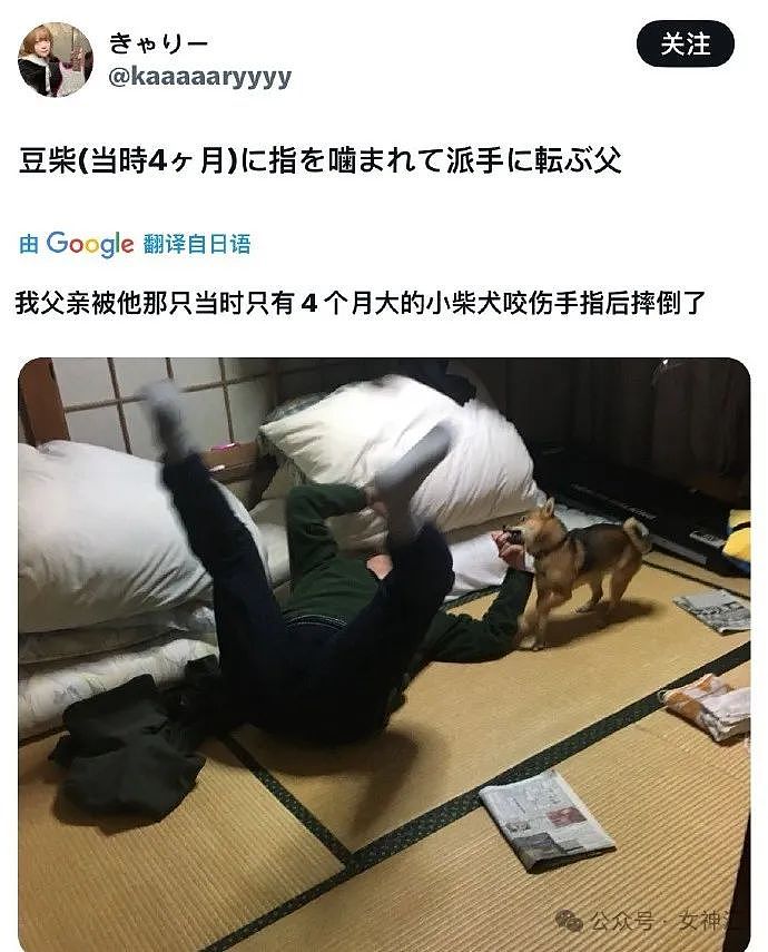 【爆笑】不小心把前男友给我拍的照片发网上后...？网友笑疯：P图高手都无法拯救！（组图） - 55